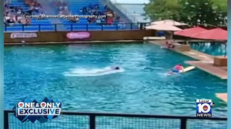 amy johnson dolphin|Dolphin attacks trainer at Miami Seaquarium in Florida .